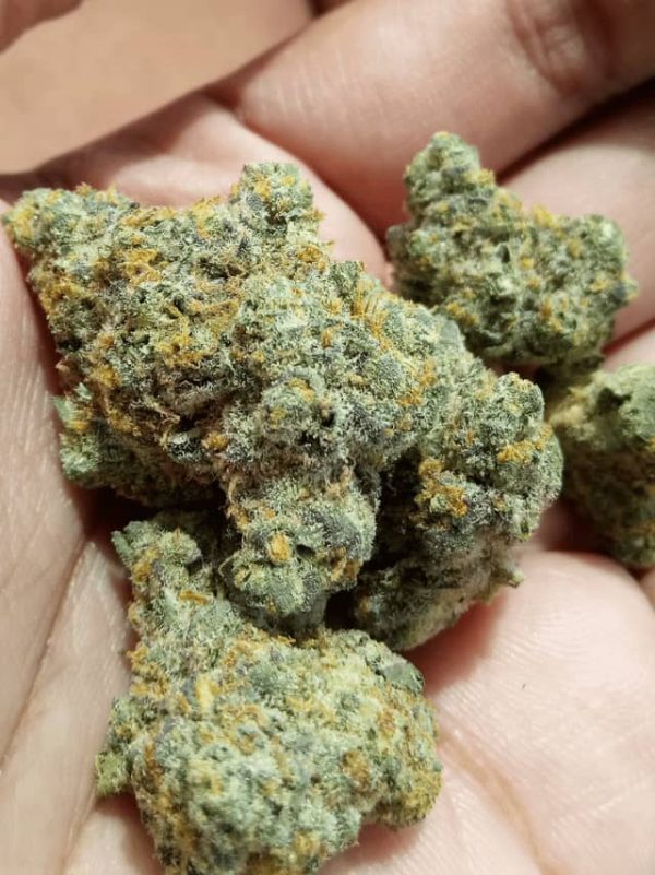 Buy RS 11 Strain - Image 3