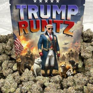 Buy Trump Runtz UK