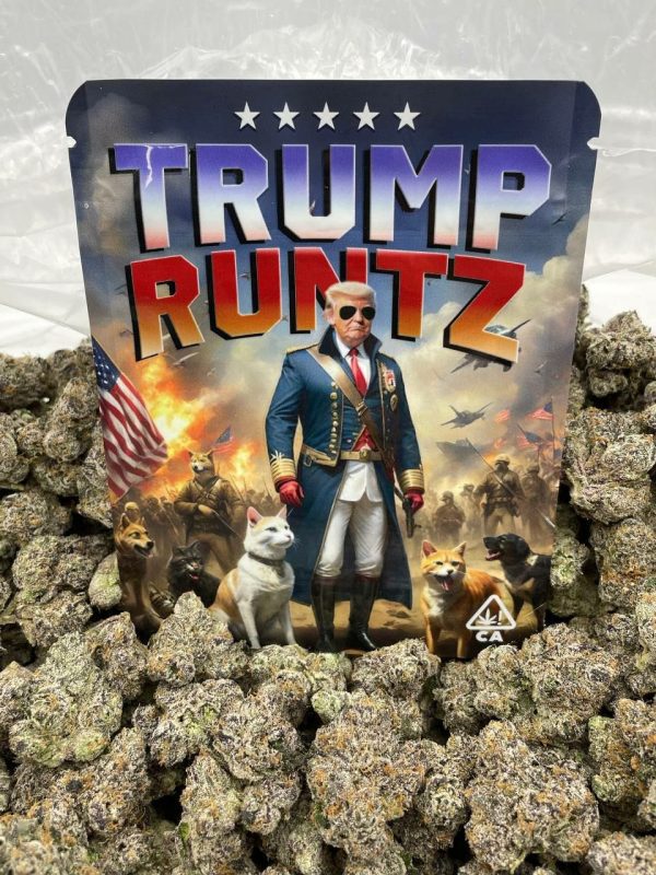 Buy Trump Runtz Italia