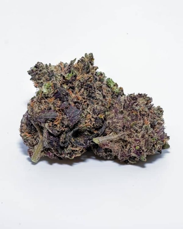 Buy Acai Gelato Strain Italy
