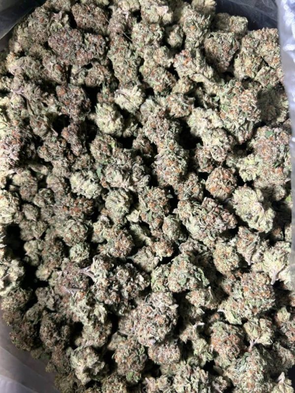 Buy Acai Gelato Strain - Image 4