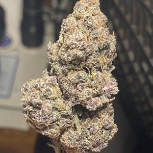 Buy bubblegum runtz legale
