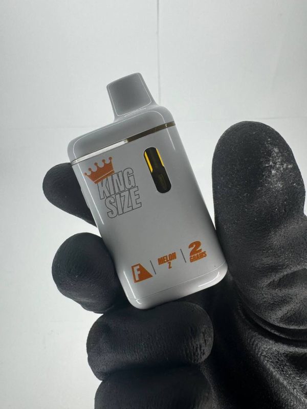 Buy Flavorz 2G disposable