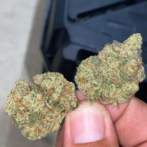 Buy Galactic Candy Strain