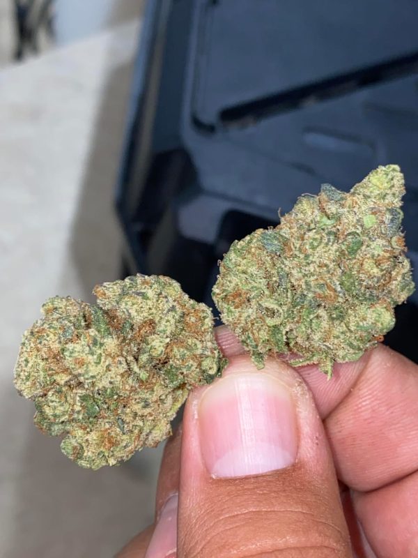 Buy Galactic Candy Strain