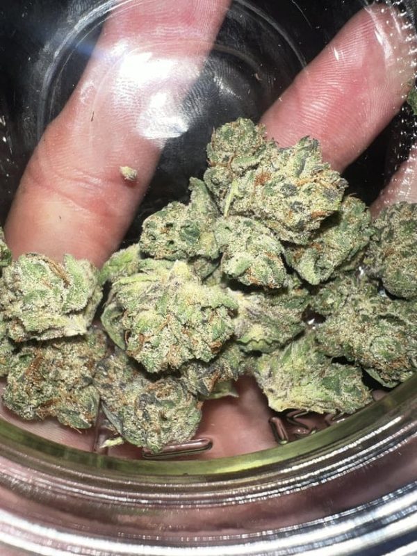 Buy Galactic Candy Strain - Image 3