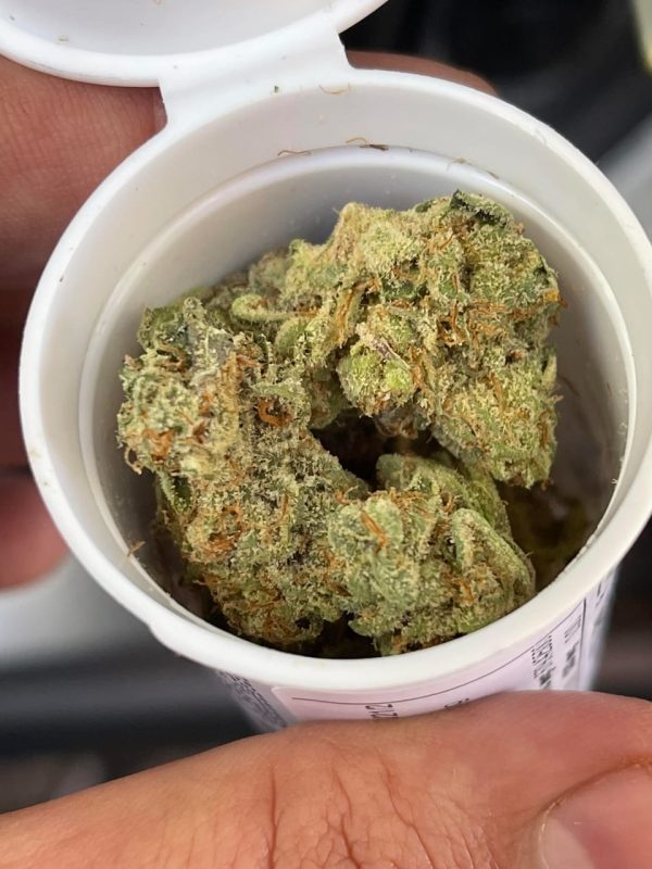 Buy Galactic Candy Strain - Image 4