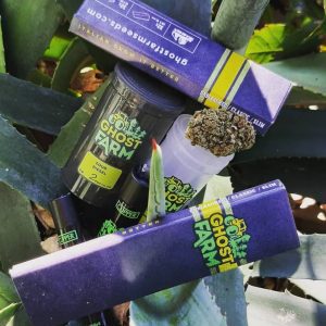 Buy Ghost Farm Family semi cannabis Italia
