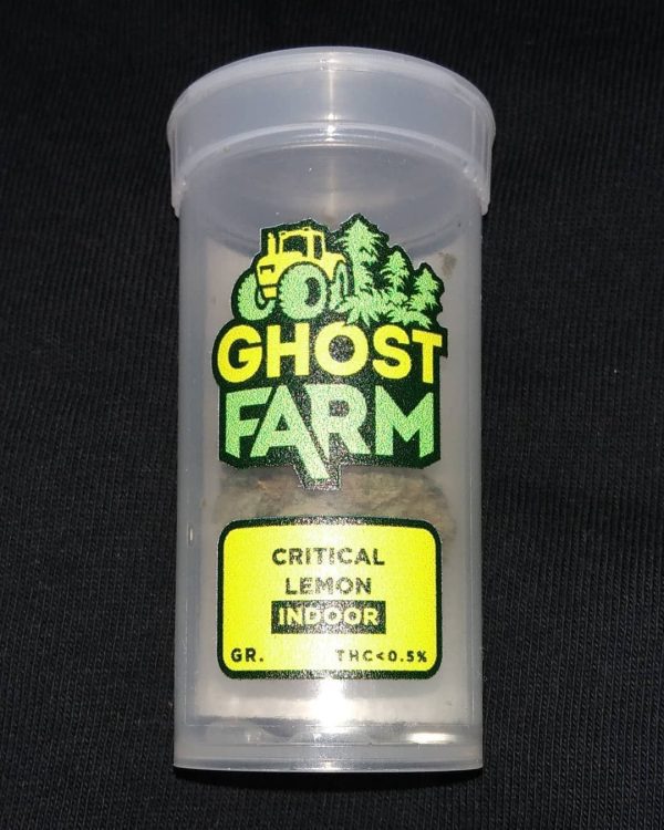 Buy Ghost Farms Prepacked - immagine 3