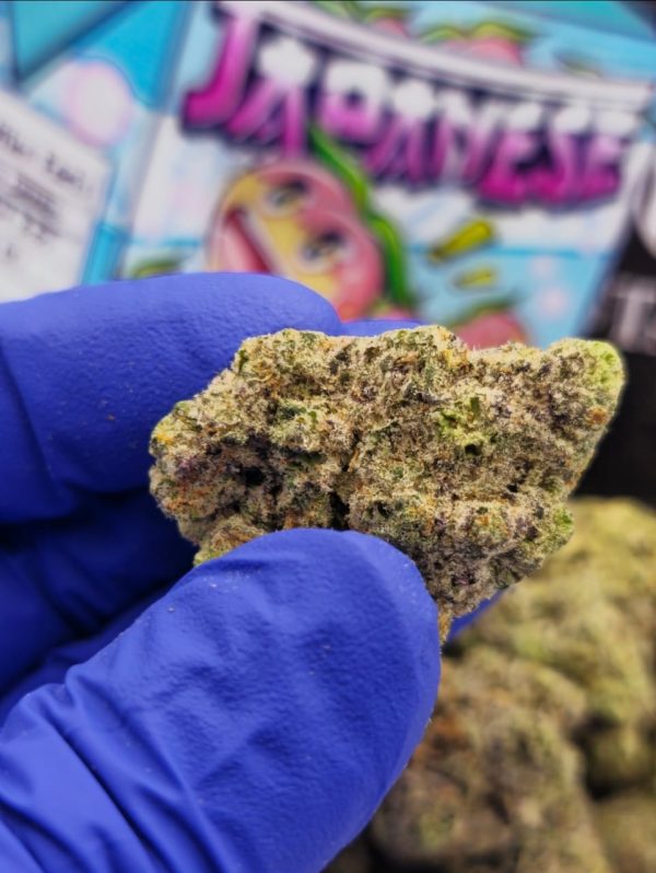 Buy Japanese Peaches cannabis light
