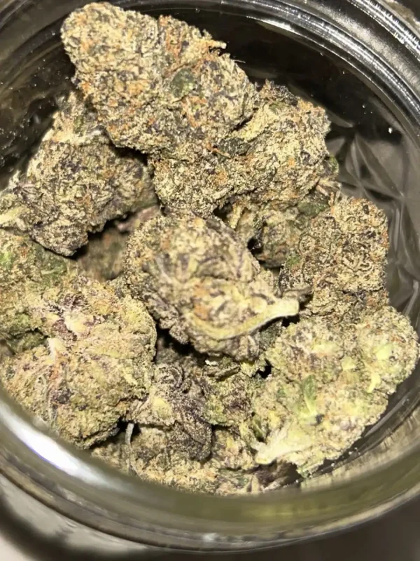 Buy Kool Aid Strain cannabis legale