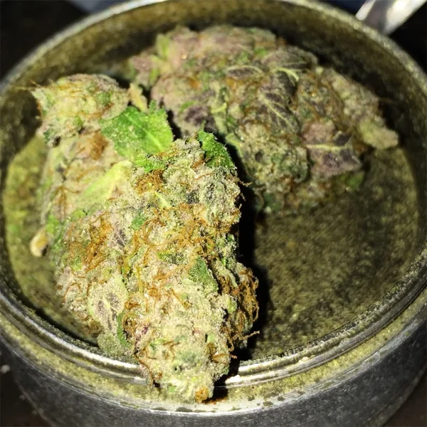 Buy Kool Aid Strain - Image 3