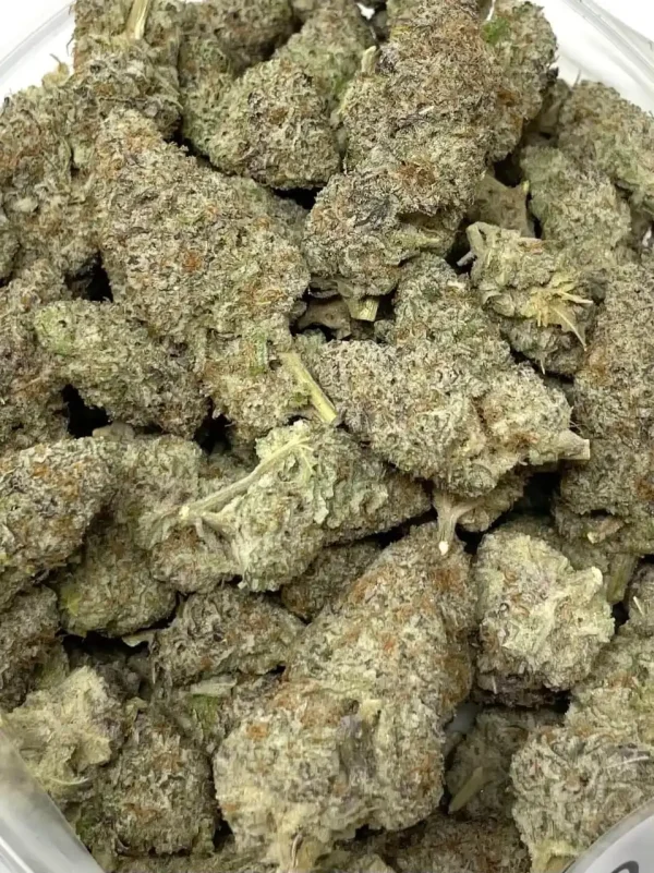 Buy Mac Doughnut Strain - immagine 4