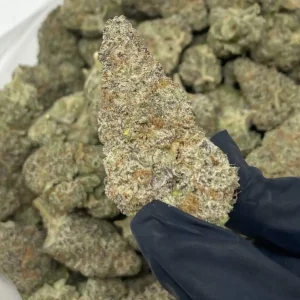Buy Mac Doughnut strain Italia