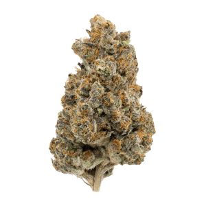Buy RS11 cannabis strain Italia