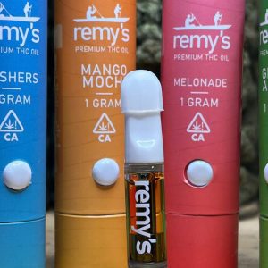 Buy Remy 1G Disposable vape Italia