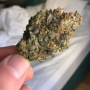 Buy pink starburst strain italia