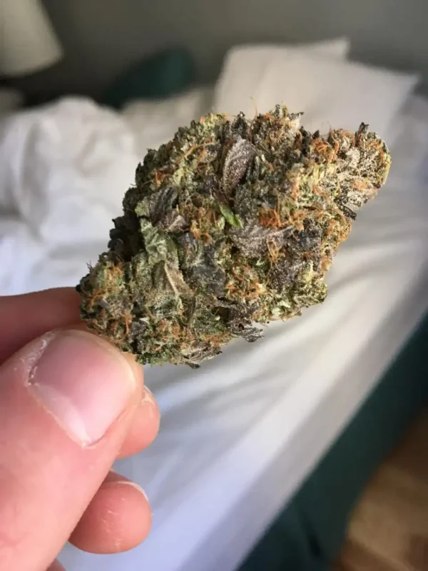 Buy pink starburst strain italia