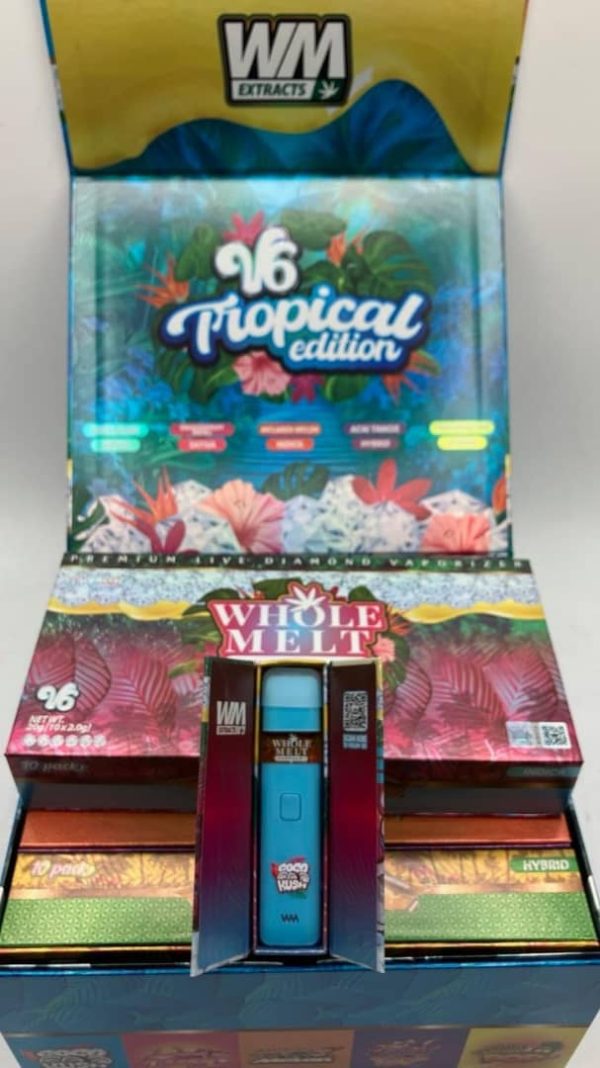 Buy Whole Melt V6 Disposable Italia