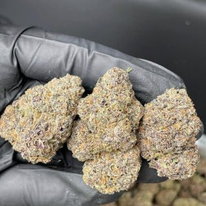 Buy Zaza cannabis light