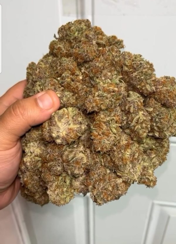 Buy Zaza strain - Image 4